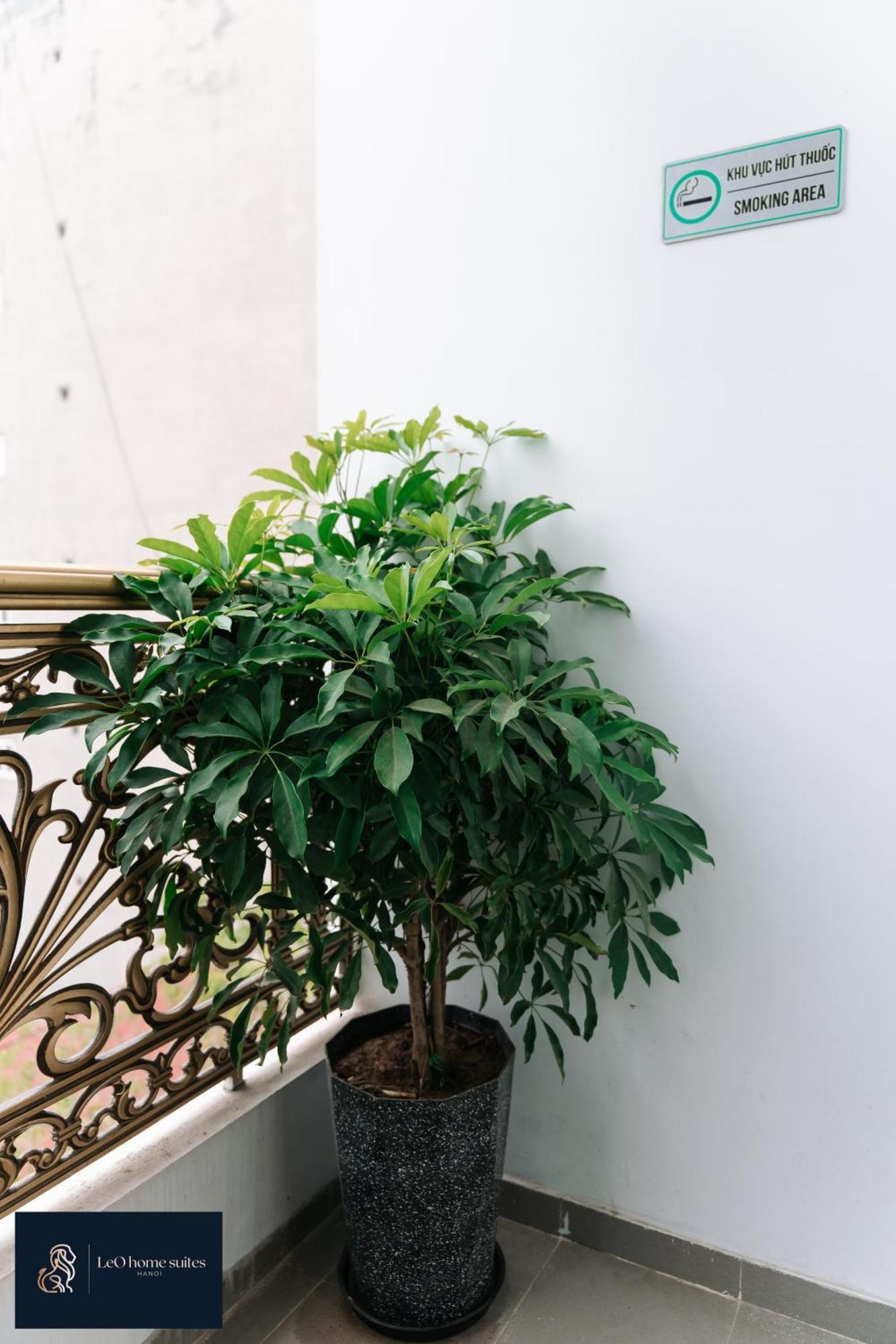 Home Suites -Natural Light -Projector -Spacious - 2Br Incenter هانوي المظهر الخارجي الصورة